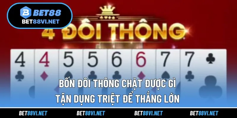 bốn đôi thông chặt được gì