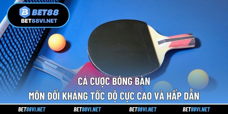 Cá cược bóng bàn