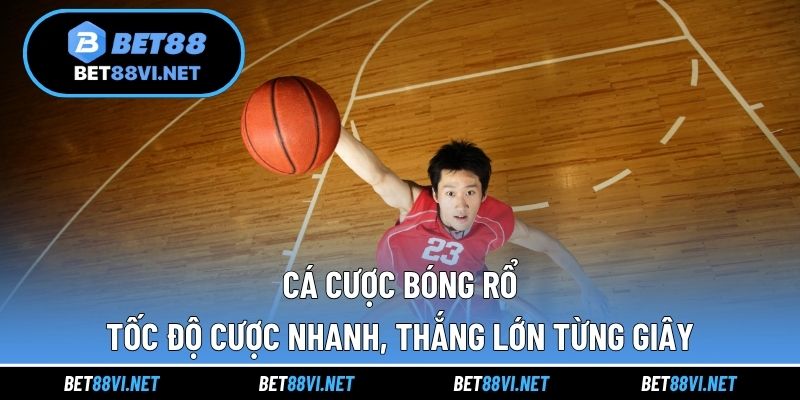 Cá cược bóng rổ