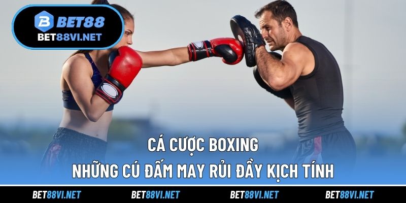 Cá cược boxing