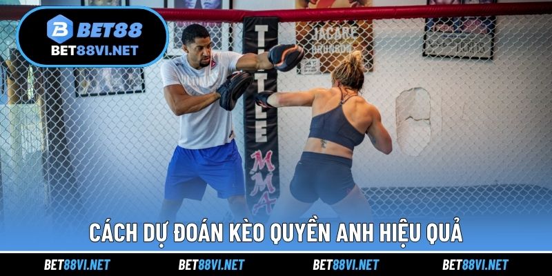 Cách dự đoán kèo quyền Anh hiệu quả