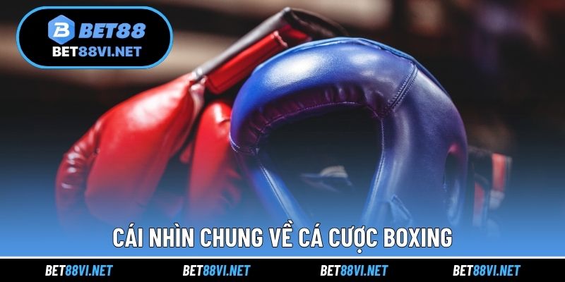 Cái nhìn chung về cá cược boxing