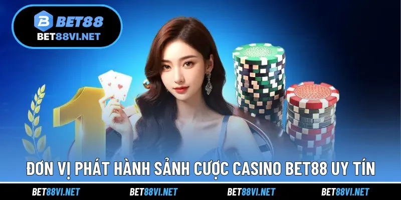 Những đơn vị hợp tác tạo nên sảnh casino chất lượng