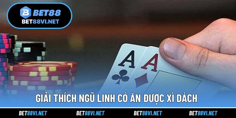 Giải thích câu hỏi liệu ngũ linh có ăn được xì dách