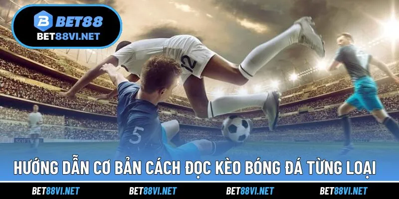 Hướng dẫn đọc cơ bản cho những dạng kèo quen thuộc