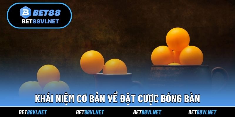 Khái niệm cơ bản về đặt cược bóng bàn