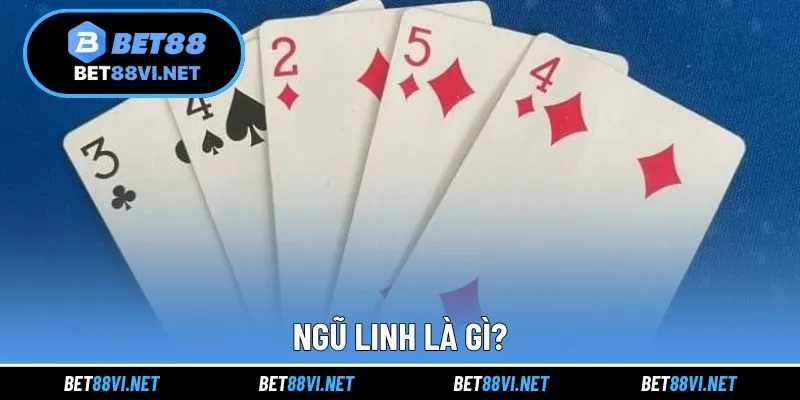 Giải đáp khái niệm quen thuộc ngũ linh là gì?