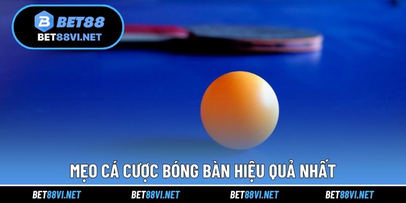 Mẹo cá cược bóng bàn hiệu quả nhất
