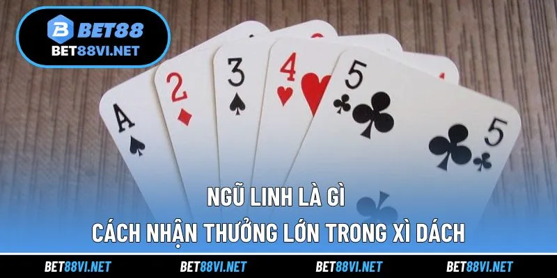 ngũ linh là gì