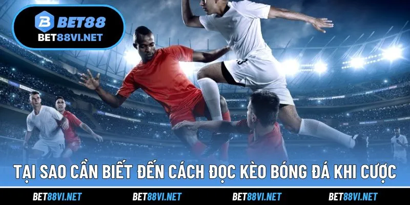 Tại sao người chơi cần biết cách đọc kèo khi cược bóng đá