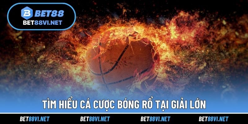 Tìm hiểu cá cược bóng rổ tại giải lớn